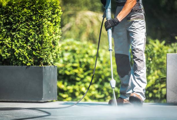 Best Gutter Cleaning  in Erie, IL